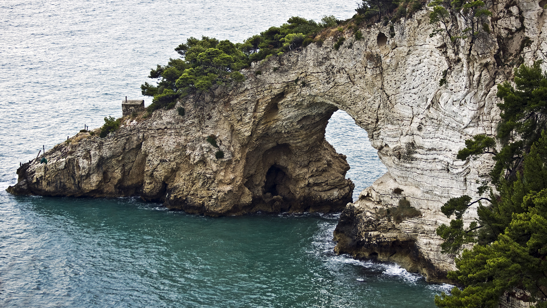 cliff-covered-greenery-surrounded-by-sea-sunlight-daytime