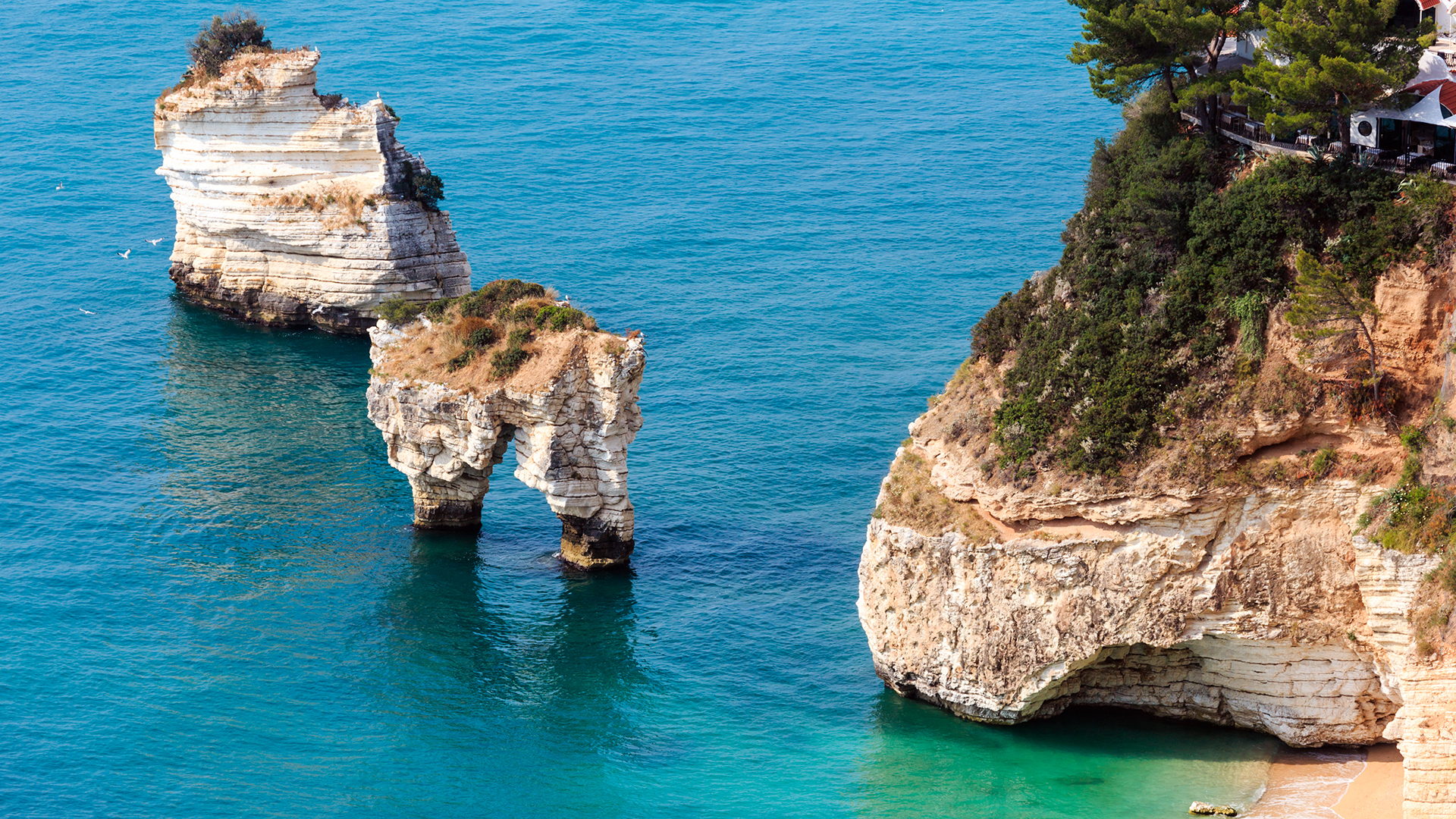 faraglioni-di-puglia-baia-delle-zagare-italy-(1)