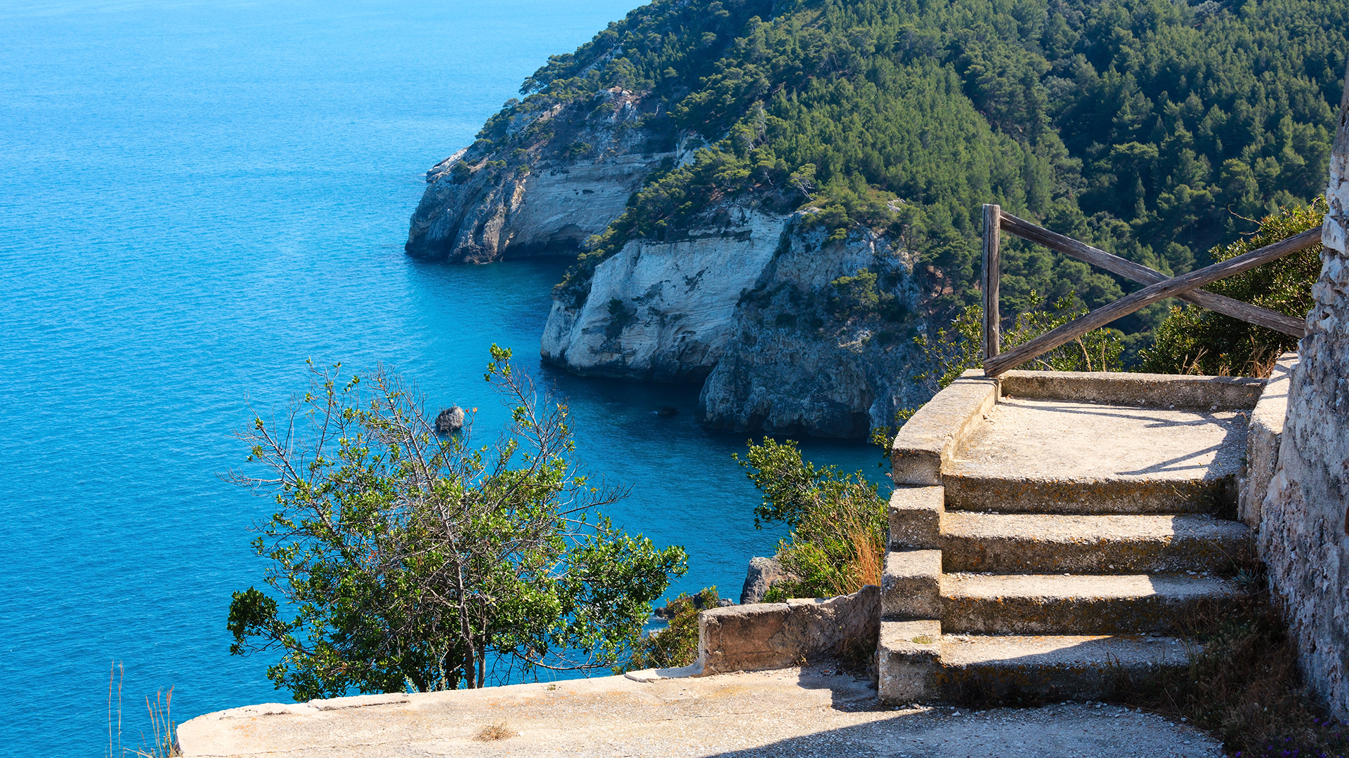 steps-torre-dell-aglio-gargano-puglia-italy