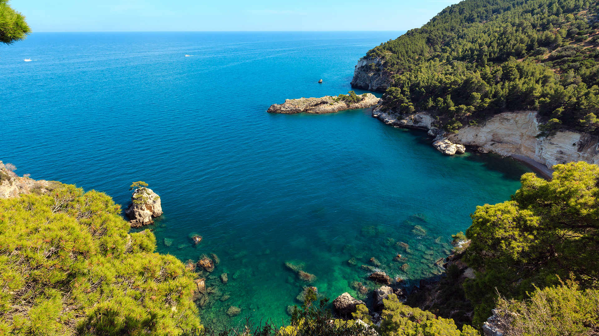 summer-coast-cala-di-porto-greco-gargano-puglia-italy